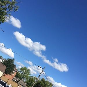 Meet your Posher, Micheal